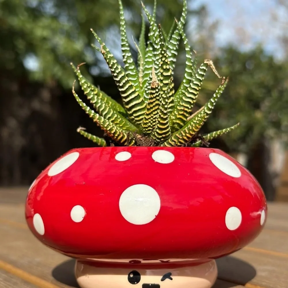 Shumiez Mushroom Planter, NIB 🍄 🌱 - Picture 16 of 16